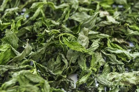 تصویر 5 از خرید و فروش نعناع خشک + قیمت فوق العاده